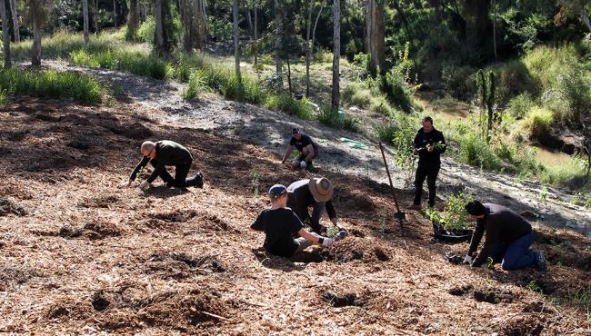 The ‘One door: one tree’ program is Centor’s commitment to planting one tree for each Integrated Door we manufacture.