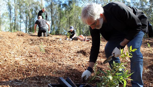 The ‘One door: one tree’ program is Centor’s commitment to planting one tree for each Integrated Door we manufacture.
